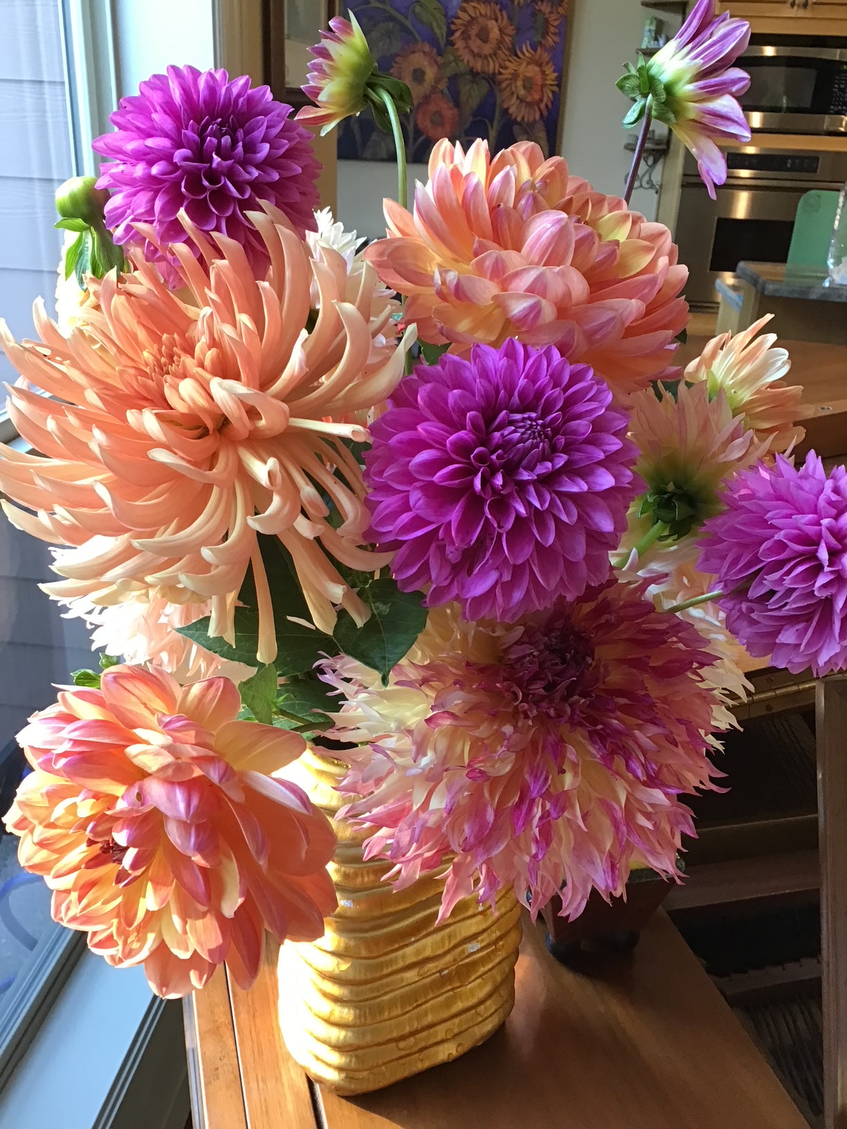 Pam Howden Dahlia Tuber